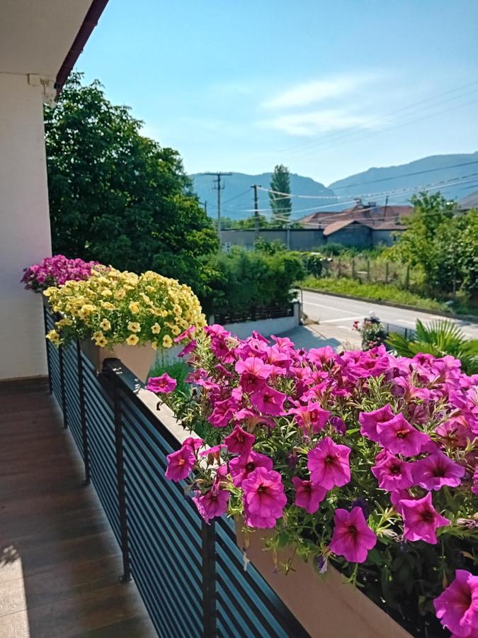Belov Rooms And Apartments Demir Kapija Exterior foto